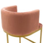 Karrige shanku Viv, stof kadife ngjyrë molle-metal ngjyrë ari, 54x50x95cm - Image 6