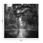 Pikturë në kanavacë Savgone, me printim digjital 50x1.8x50cm - Image 2