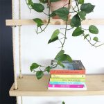 Raft muri Rabia, dru masiv natyral 99x16x170cm - Image 3