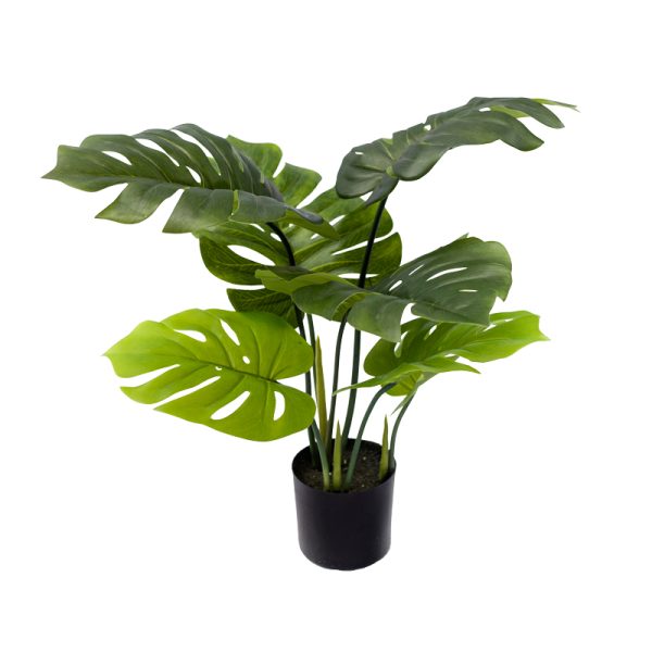 Bimë dekorative në vazo Monstera, PP jeshile H70cm