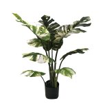 Bimë dekorative në vazo Monstera I, PP jeshile H90cm