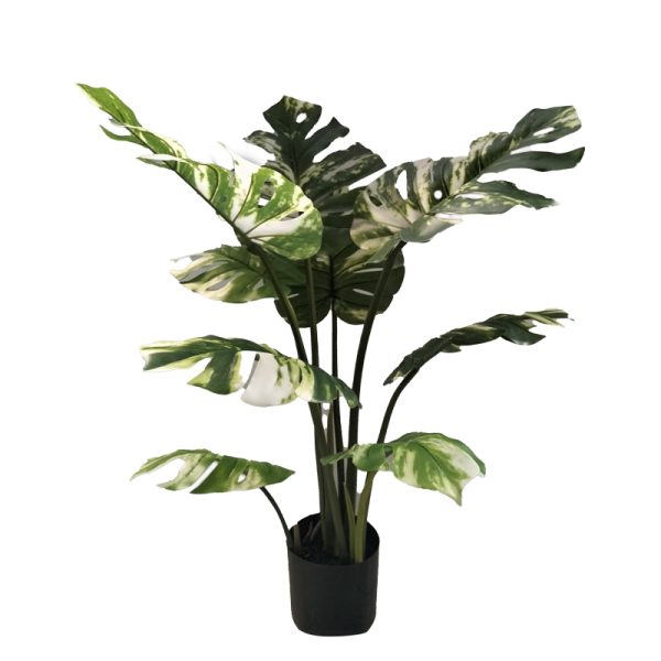 Bimë dekorative në vazo Monstera I, PP jeshile H90cm