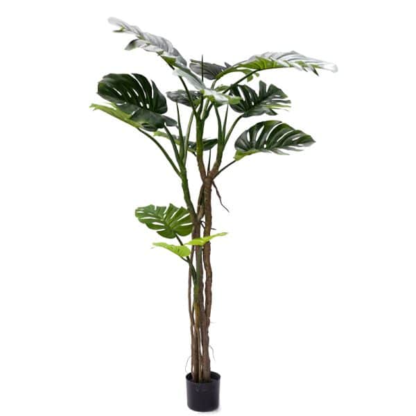 Bimë dekorative në vazo Monstera III, PP jeshile H180cm
