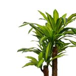 Bimë dekorative në vazo Draceana, PP jeshile H110cm - Image 2