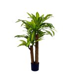 Bimë dekorative në vazo Draceana, PP jeshile H110cm