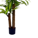 Bimë dekorative në vazo Draceana, PP jeshile H110cm - Image 3