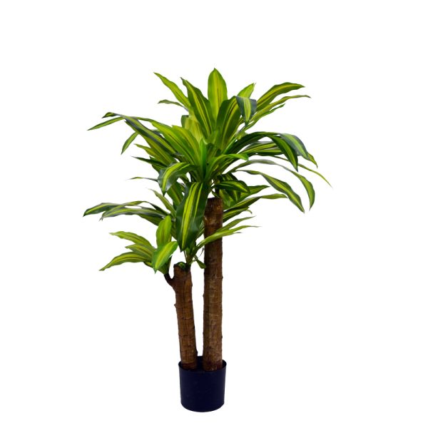 Bimë dekorative në vazo Draceana, PP jeshile H110cm