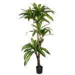 Bimë dekorative Dracaena I, në vazo, PP jeshile, H170cm