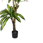 Bimë dekorative Dracaena I, në vazo, PP jeshile, H170cm - Image 3