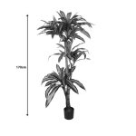 Bimë dekorative Dracaena I, në vazo, PP jeshile, H170cm - Image 4