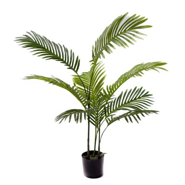 Bimë dekorative Areca në tenxhere Inart jeshile pp H80cm