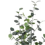Bimë dekorative Eukalipt, në vazo, PP jeshile, H120cm - Image 2