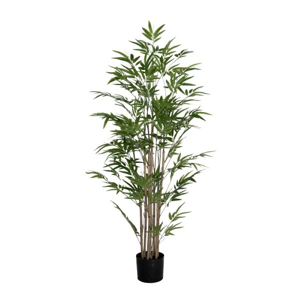 Bimë dekorative Bamboo I, në vazo, PP jeshile H150cm
