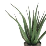 Bimë dekorative Aloe, në vazo, PP jeshile, H51cm - Image 2