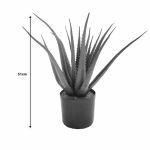 Bimë dekorative Aloe, në vazo, PP jeshile, H51cm - Image 4