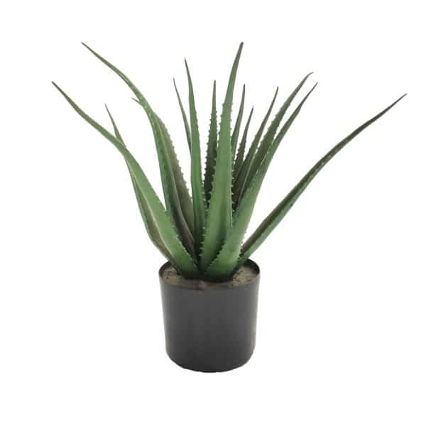 Bimë dekorative Aloe, në vazo, PP jeshile, H51cm